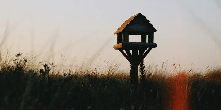Wooden bird box in a meadow