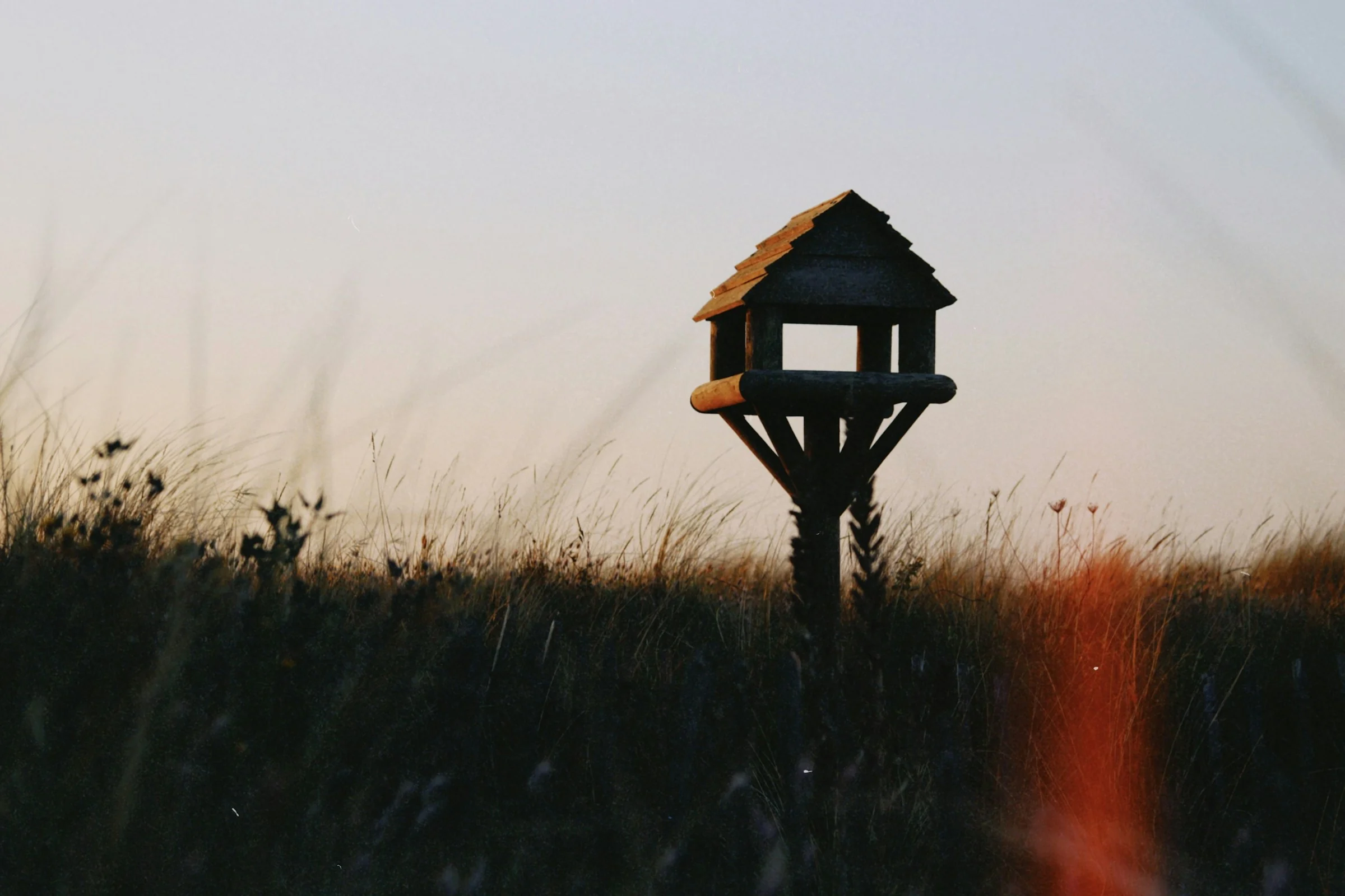 A garden bird box representing careful wildlife observation